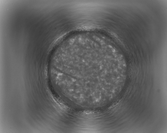 X0000066530640200604141841