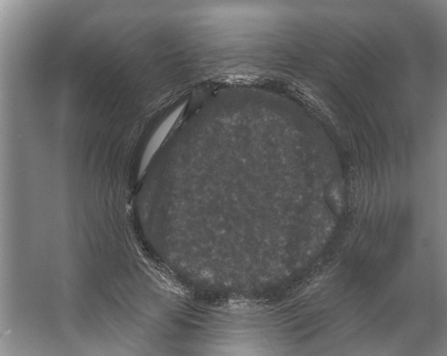 X0000066530641200604141841