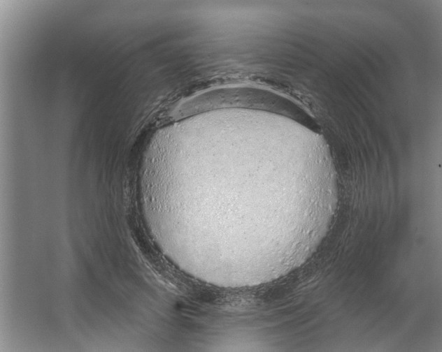 X0000066530642200604141841