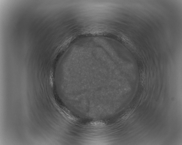 X0000066530644200604141841