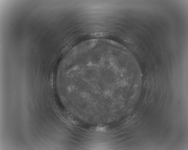 X0000066530647200604141841