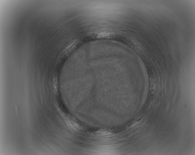 X0000066530648200604141841