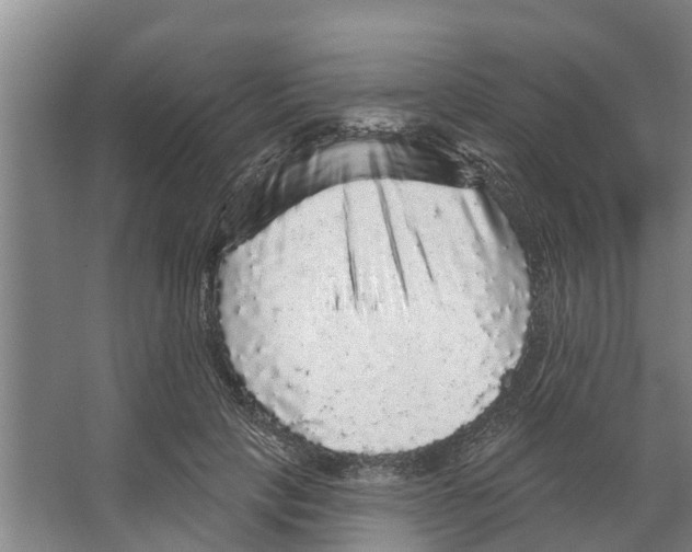 X0000066530649200604141841