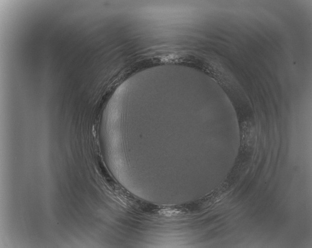 X0000066530650200604141841