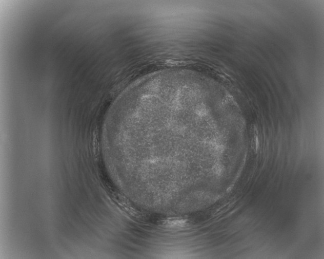 X0000066530651200604141841