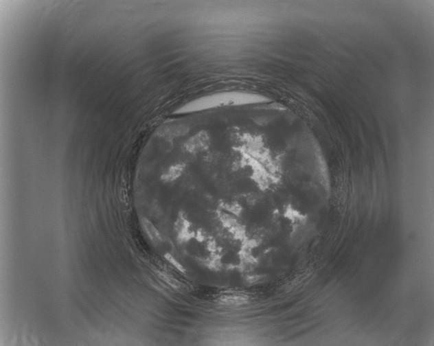 X0000066530653200604141841