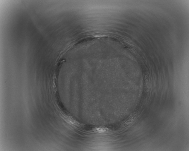 X0000066530654200604141841