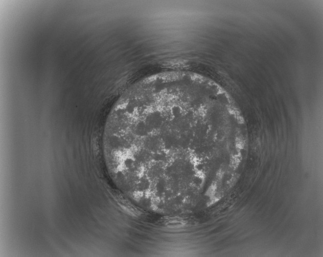 X0000066530658200604141841