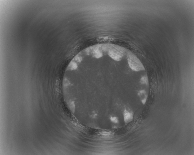 X0000066530659200604141841