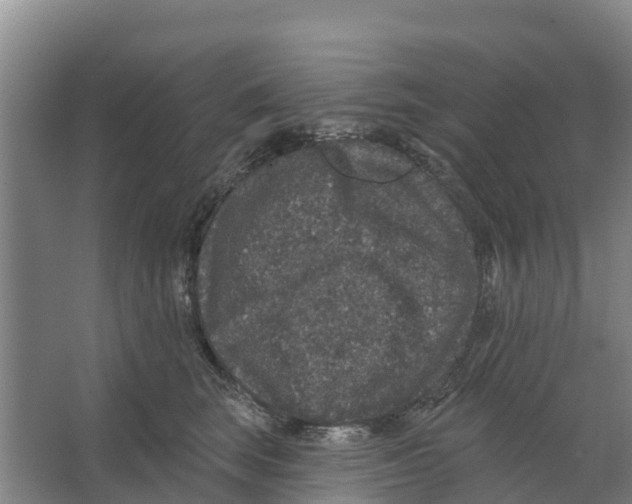 X0000066530663200604141841