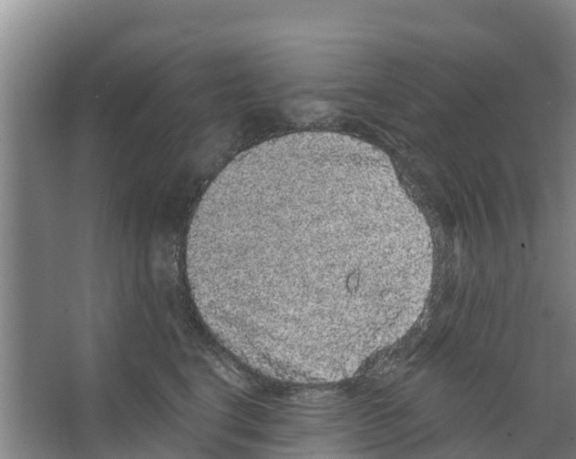 X0000066530664200604141841