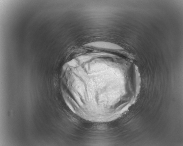 X0000066530665200604141841