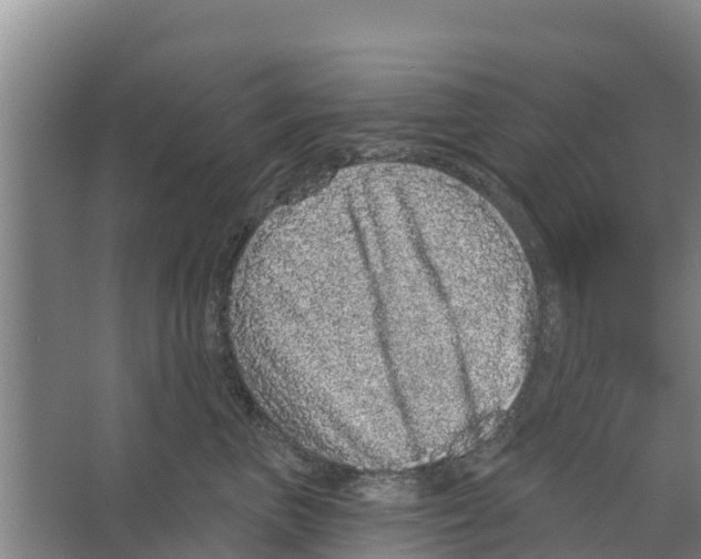 X0000066530667200604141841