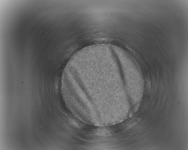 X0000066530668200604141841