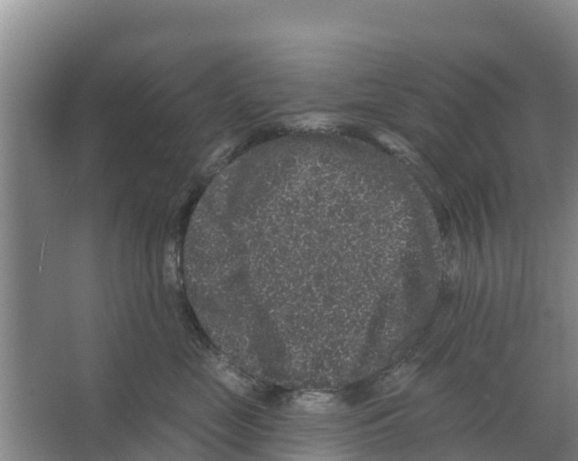 X0000066530669200604141841