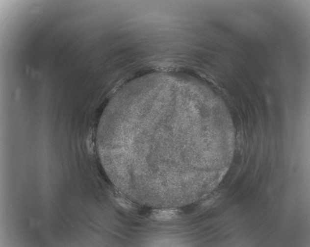 X0000066530671200604141841