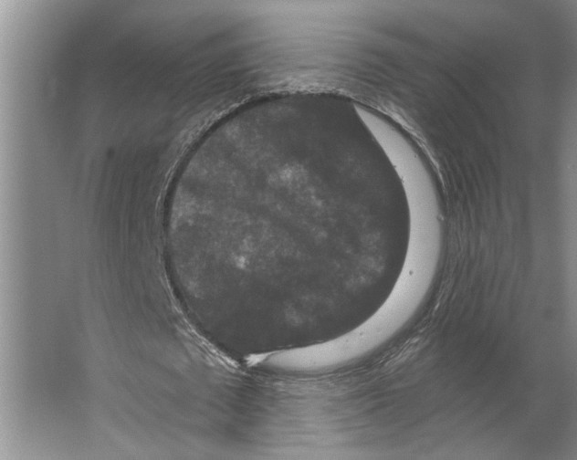 X0000066530673200604141840