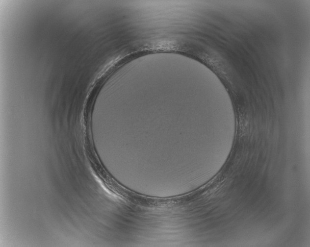 X0000066530674200604141840