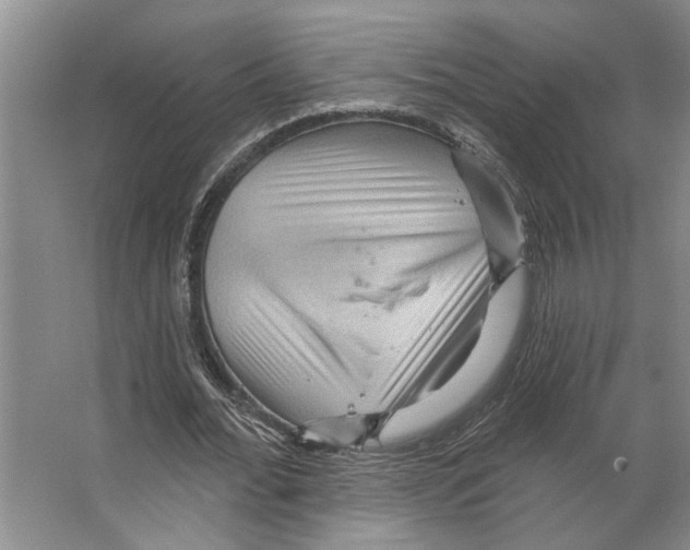 X0000066530676200604141840