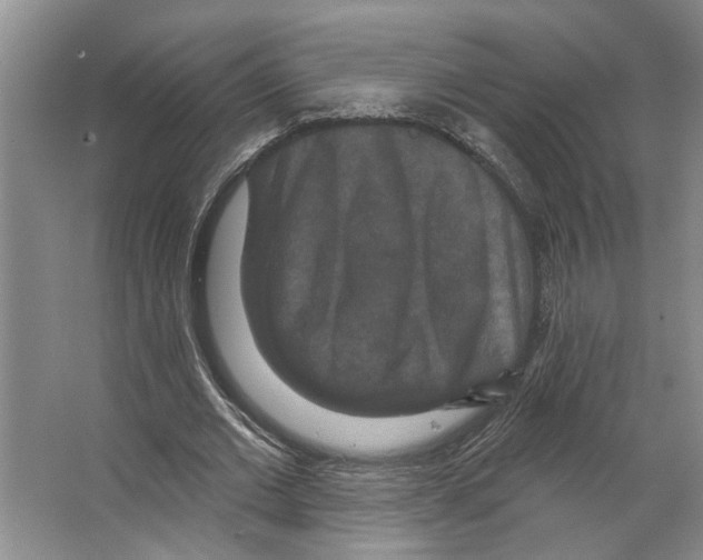 X0000066530677200604141840