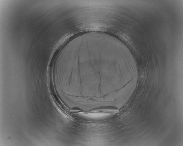 X0000066530678200604141840