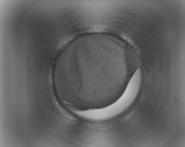 X0000066530681200604141840