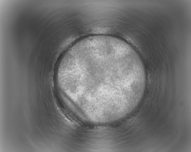 X0000066530682200604141840