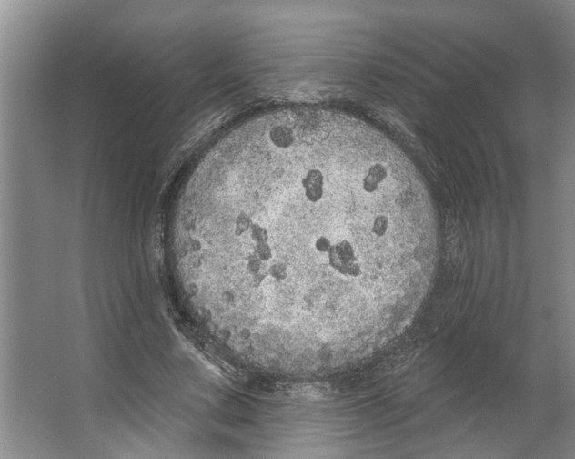 X0000066530683200604141840