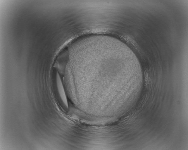 X0000066530684200604141840