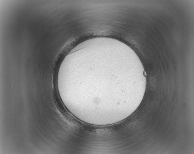 X0000066530686200604141840