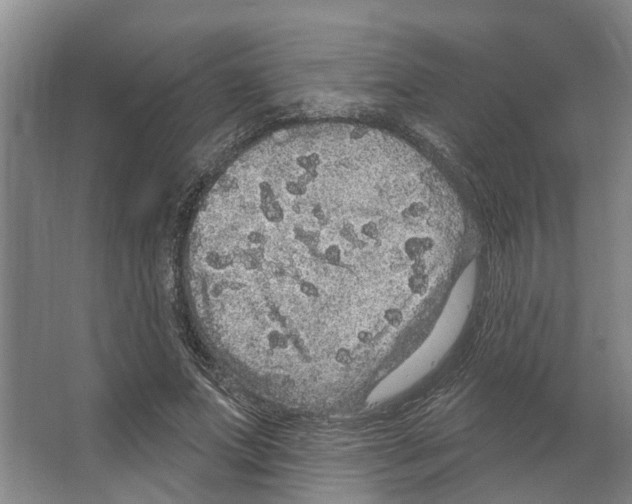 X0000066530687200604141840