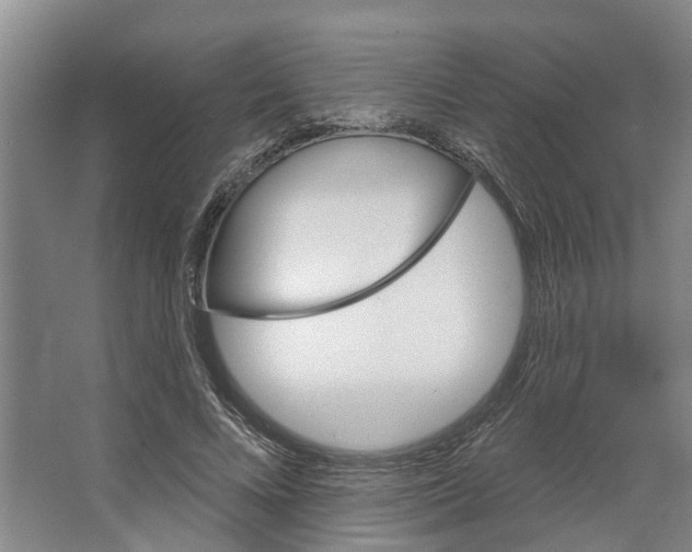 X0000066530688200604141840