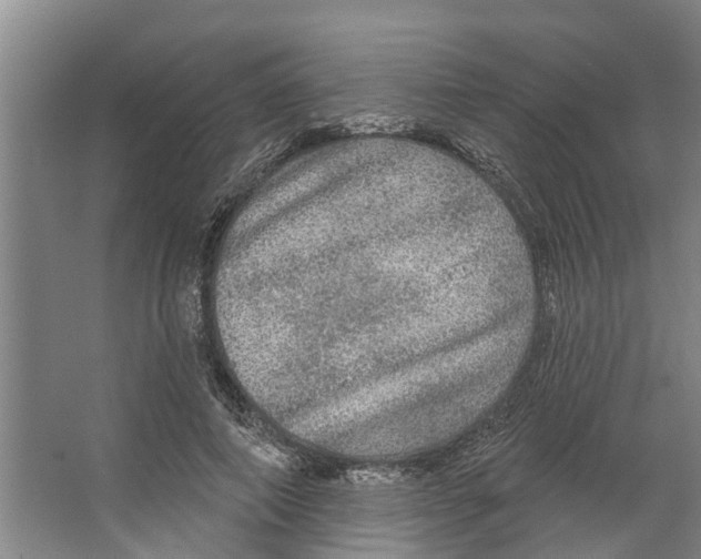 X0000066530690200604141840