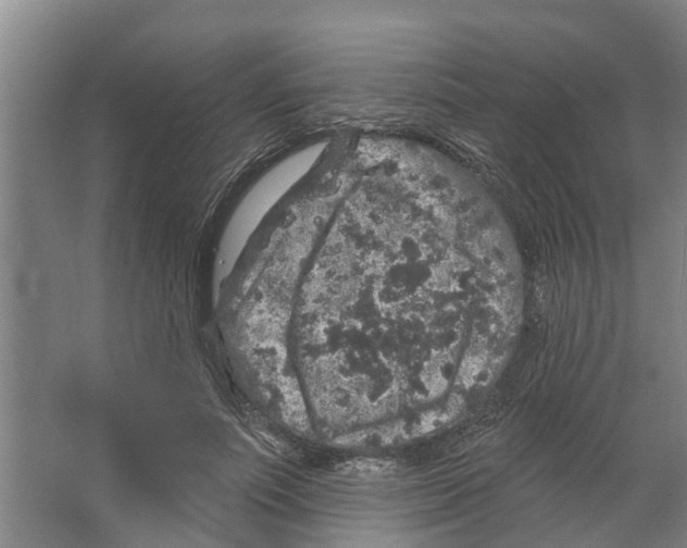 X0000066530691200604141840