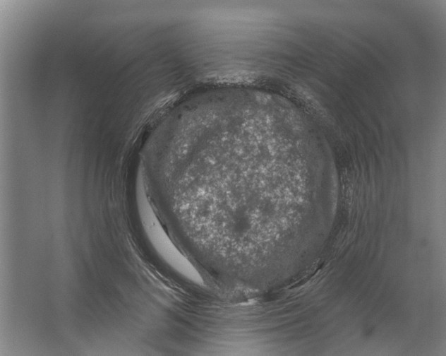 X0000066530692200604141840