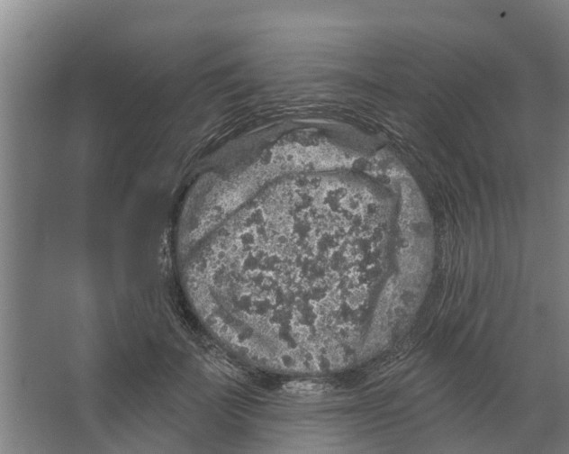 X0000066530699200604141840