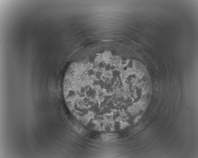 X0000066530707200604141840