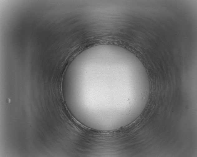 X0000066530708200604141840