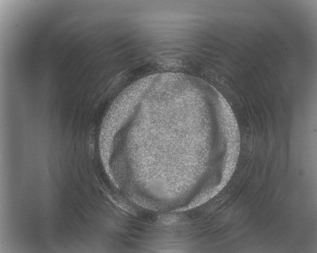 X0000066530710200604141840