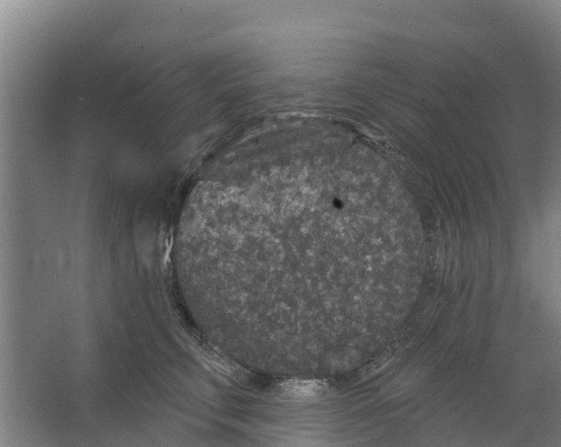 X0000066530711200604141840