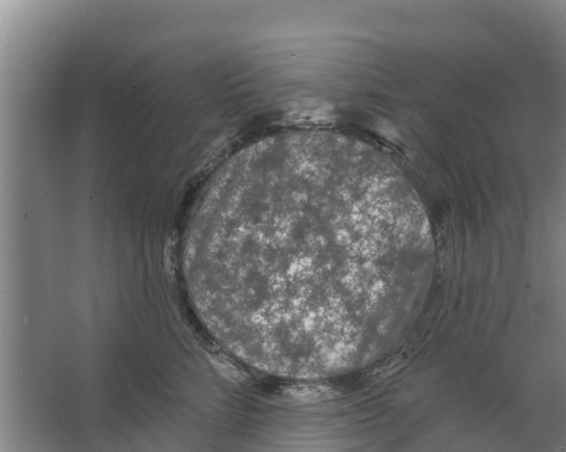 X0000066530712200604141840