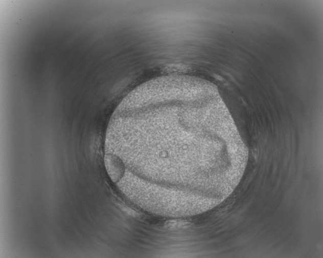 X0000066530714200604141840