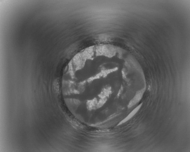 X0000066530715200604141840