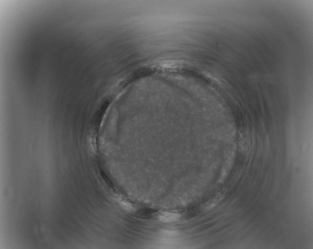 X0000066530718200604141840