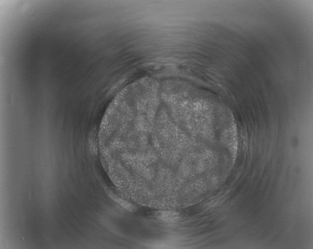 X0000066530719200604141840