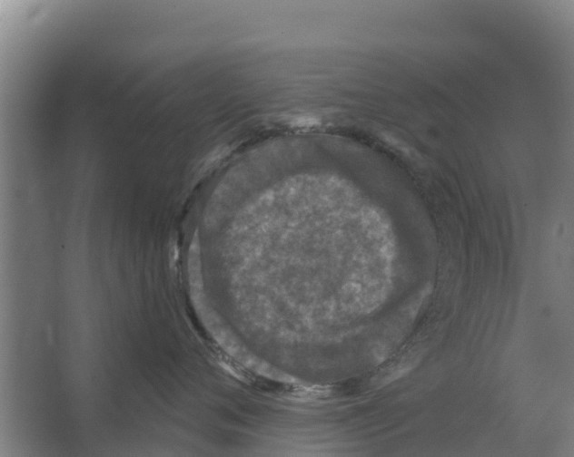 X0000066530720200604141839