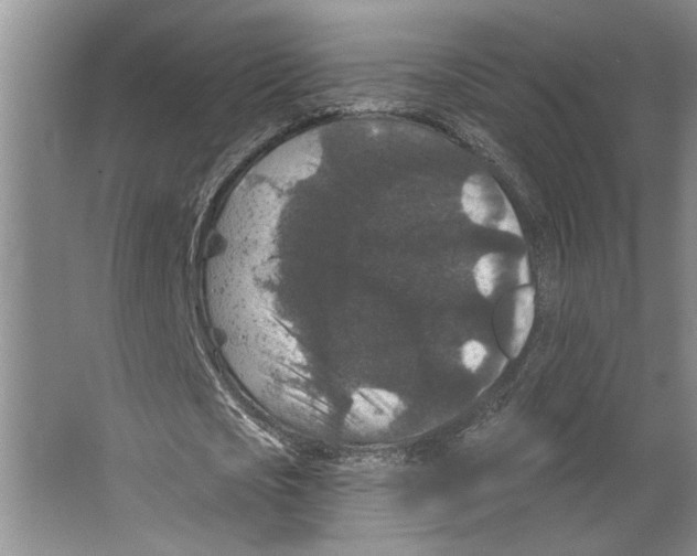 X0000066530721200604141839