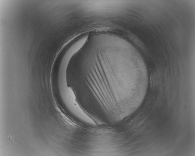 X0000066530722200604141839