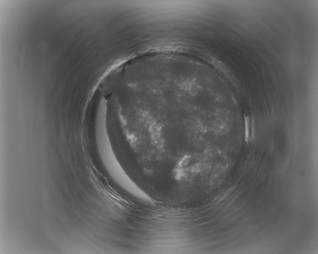 X0000066530723200604141839