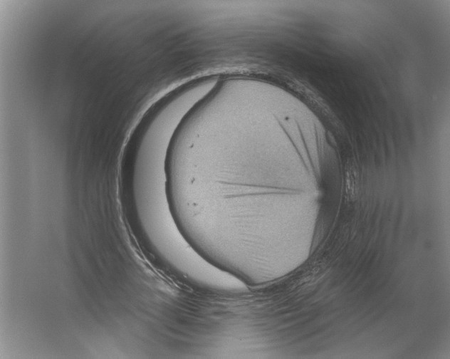 X0000066530724200604141839